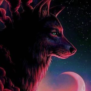 Meet your Posher, Sergio